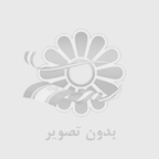 رضا جامی